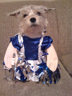 Dog dallas 2024 cowboys cheerleader costume